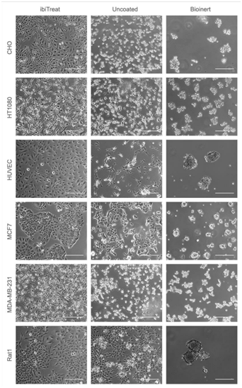 ibiTreat, æ?ªå??被, Bioinert表é?¢å?¨ç»?è??å?¹å?»æ??å?µä¸?ç??对æ¯?å?¾.png