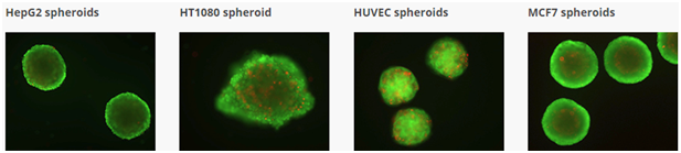 ä¸?å??ç»?è??æ ªç??ç?¶ä½?ç??æ´»ç»?è??广è§?è?§å??æ??è?²å?¾.png